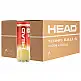 HEAD CHAMPIONSHIP KOYTA 24X3 NEW