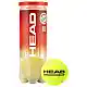 HEAD CHAMPIONSHIP KOYTA 24X3 NEW