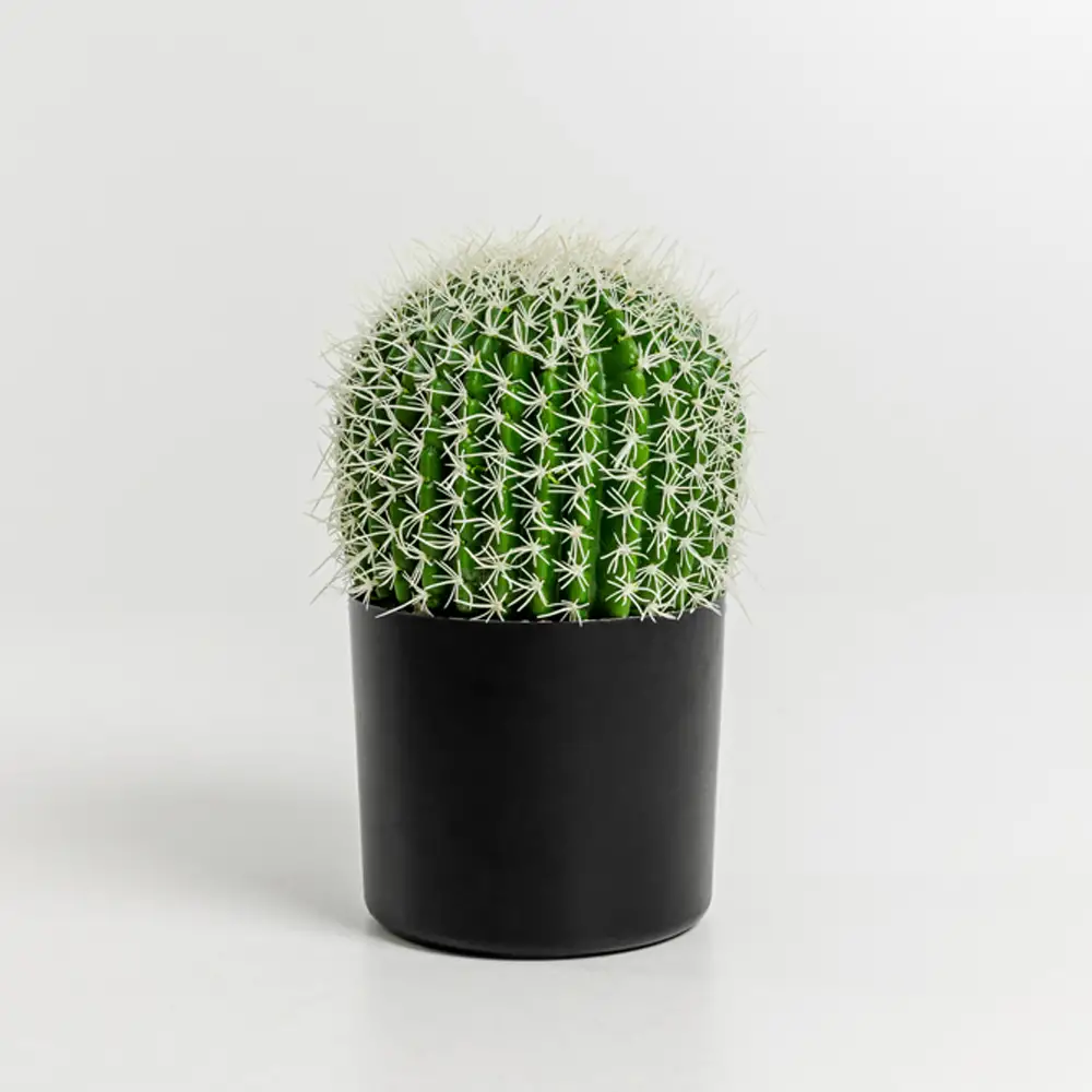 LIBERTA FEROCACTUS ΦΥΤΟ ΤΕΧΝΗΤΟ ΣΕ ΓΛΑΣΤΡΑ 18x18x30cm ΥΦΑΣΜΑ ΠΡΑΣΙΝΟ ΛΕΥΚΟ ΠΛΑΣΤΙΚΟ