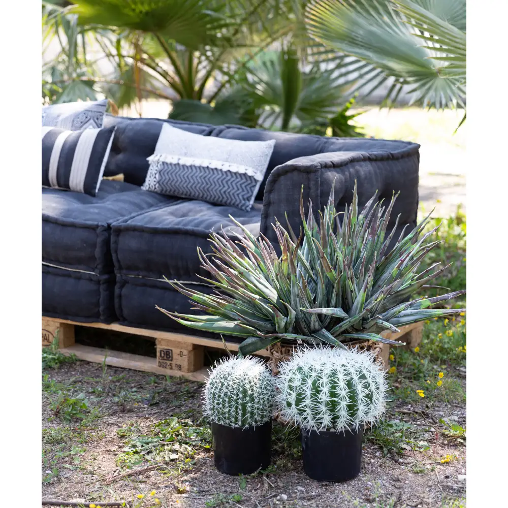 LIBERTA FEROCACTUS ΦΥΤΟ ΤΕΧΝΗΤΟ ΣΕ ΓΛΑΣΤΡΑ 25x25x33cm ΥΦΑΣΜΑ ΠΡΑΣΙΝΟ ΛΕΥΚΟ ΠΛΑΣΤΙΚΟ