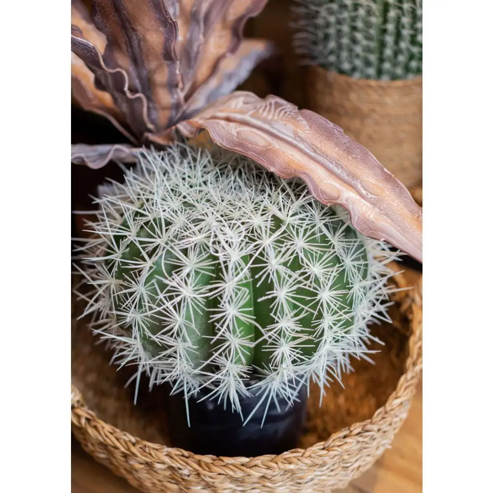 LIBERTA FEROCACTUS ΦΥΤΟ ΤΕΧΝΗΤΟ ΣΕ ΓΛΑΣΤΡΑ 25x25x33cm ΥΦΑΣΜΑ ΠΡΑΣΙΝΟ ΛΕΥΚΟ ΠΛΑΣΤΙΚΟ