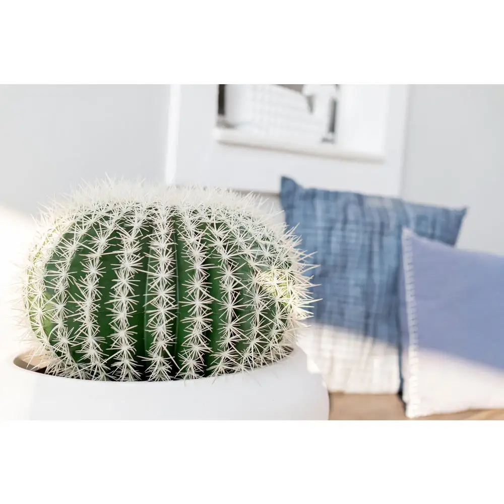 LIBERTA FEROCACTUS ΦΥΤΟ ΤΕΧΝΗΤΟ ΣΕ ΓΛΑΣΤΡΑ 25x25x33cm ΥΦΑΣΜΑ ΠΡΑΣΙΝΟ ΛΕΥΚΟ ΠΛΑΣΤΙΚΟ