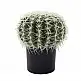 LIBERTA FEROCACTUS ΦΥΤΟ ΤΕΧΝΗΤΟ ΣΕ ΓΛΑΣΤΡΑ 25x25x33cm ΥΦΑΣΜΑ ΠΡΑΣΙΝΟ ΛΕΥΚΟ ΠΛΑΣΤΙΚΟ