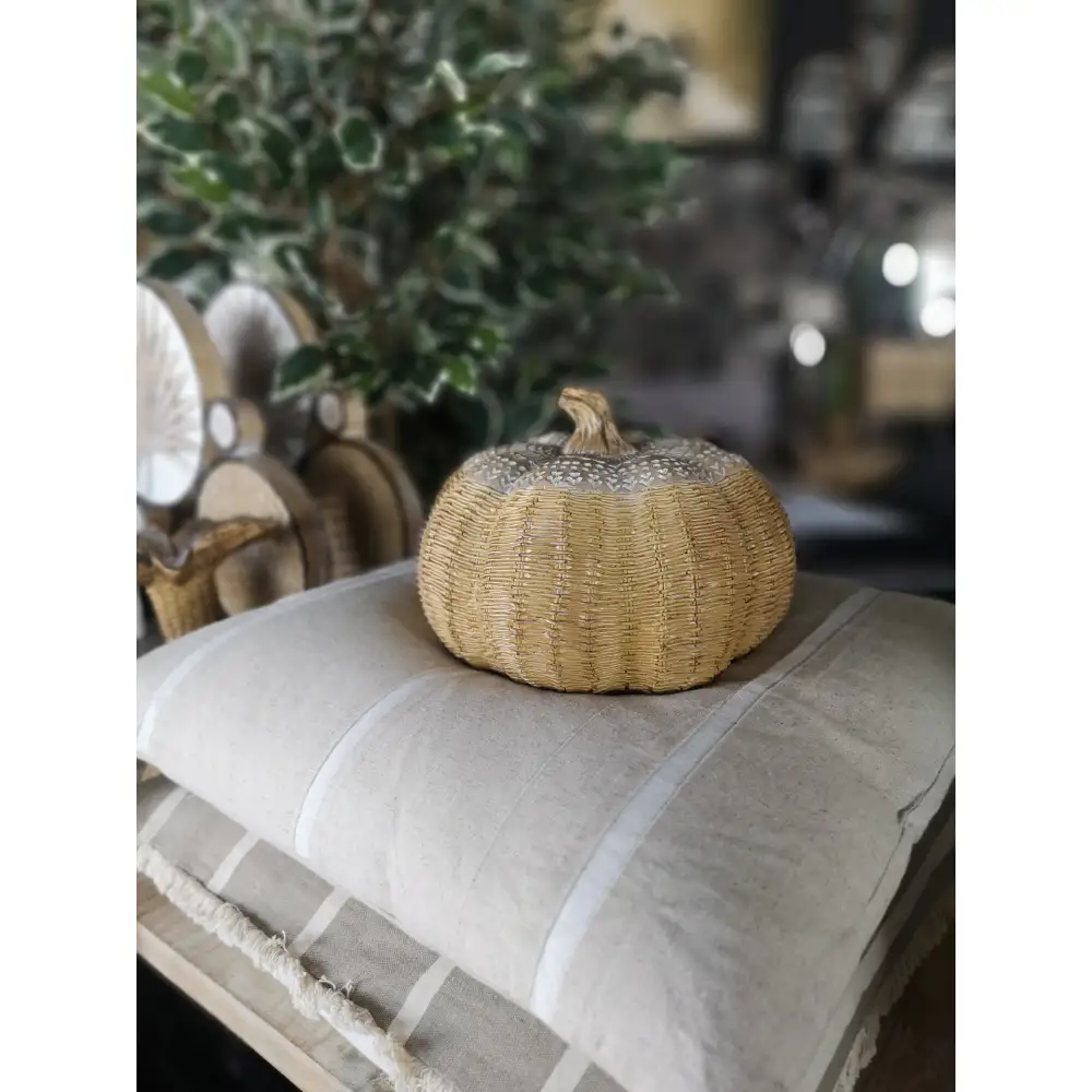 LIBERTA PEPO ΔΙΑΚΟΣΜΗΤΙΚΗ ΚΟΛΟΚΥΘΑ 23x23x16cm POLYRESIN ΦΥΣΙΚΟ