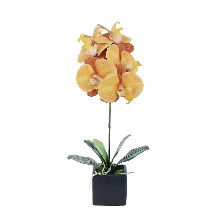 LIBERTA ORCHIDEA ΛΟΥΛΟΥΔΙ ΤΕΧΝΗΤΟ ΣΕ ΓΛΑΣΤΡΑ 63cm PEVA ΚΙΤΡΙΝΟ ΠΟΡΤΟΚΑΛΙ ΚΕΡΑΜΙΚΟ