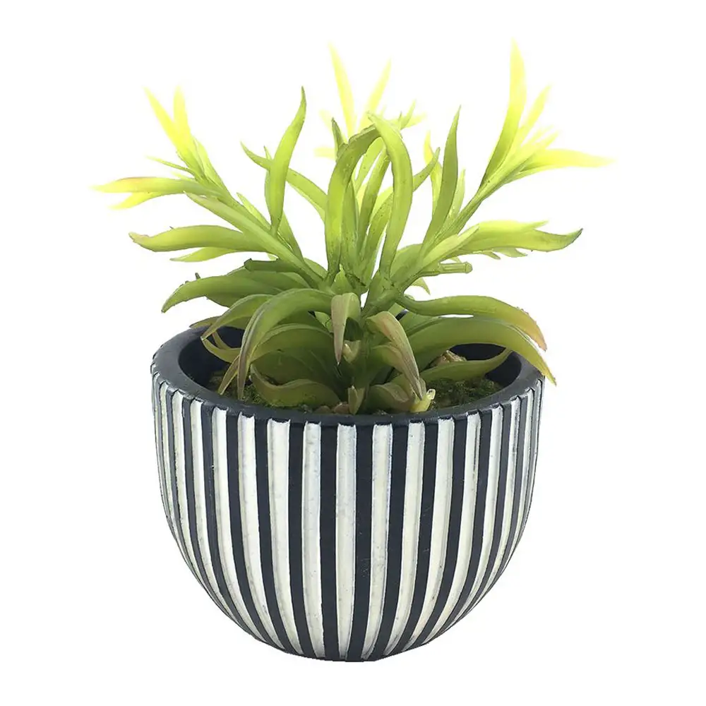 LIBERTA LAKHSMI 3 ΦΥΤΟ ΤΕΧΝΗΤΟ ΣΕ ΚΑΣΠΩ 13x13x18.5cm POLYRESIN ΜΑΥΡΟ ΛΕΥΚΟ ΠΡΑΣΙΝΟ