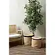 LIBERTA FICUS ΔΕΝΤΡΟ ΤΕΧΝΗΤΟ ΣΕ ΓΛΑΣΤΡΑ 170cm POLYESTER ΠΡΑΣΙΝΟ PE/PP