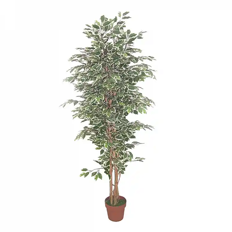 LIBERTA FICUS ΔΕΝΤΡΟ ΤΕΧΝΗΤΟ ΣΕ ΓΛΑΣΤΡΑ 170cm POLYESTER ΠΡΑΣΙΝΟ PE/PP