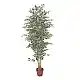 LIBERTA FICUS ΔΕΝΤΡΟ ΤΕΧΝΗΤΟ ΣΕ ΓΛΑΣΤΡΑ 170cm POLYESTER ΠΡΑΣΙΝΟ PE/PP