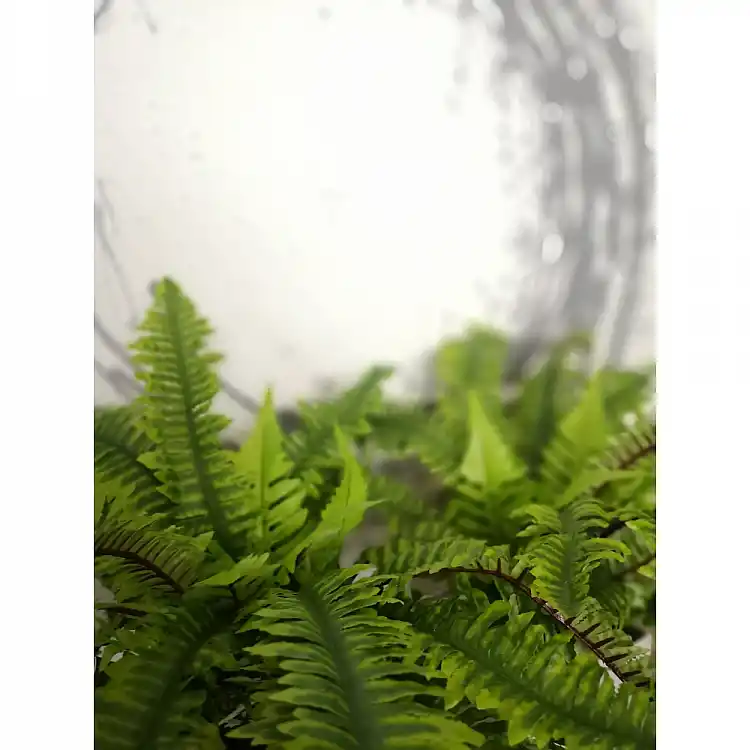 LIBERTA BOSTON FERN ΦΥΤΟ ΤΕΧΝΗΤΟ ΣΕ ΓΛΑΣΤΡΑ 36cm POLYESTER ΠΡΑΣΙΝΟ PE/PP