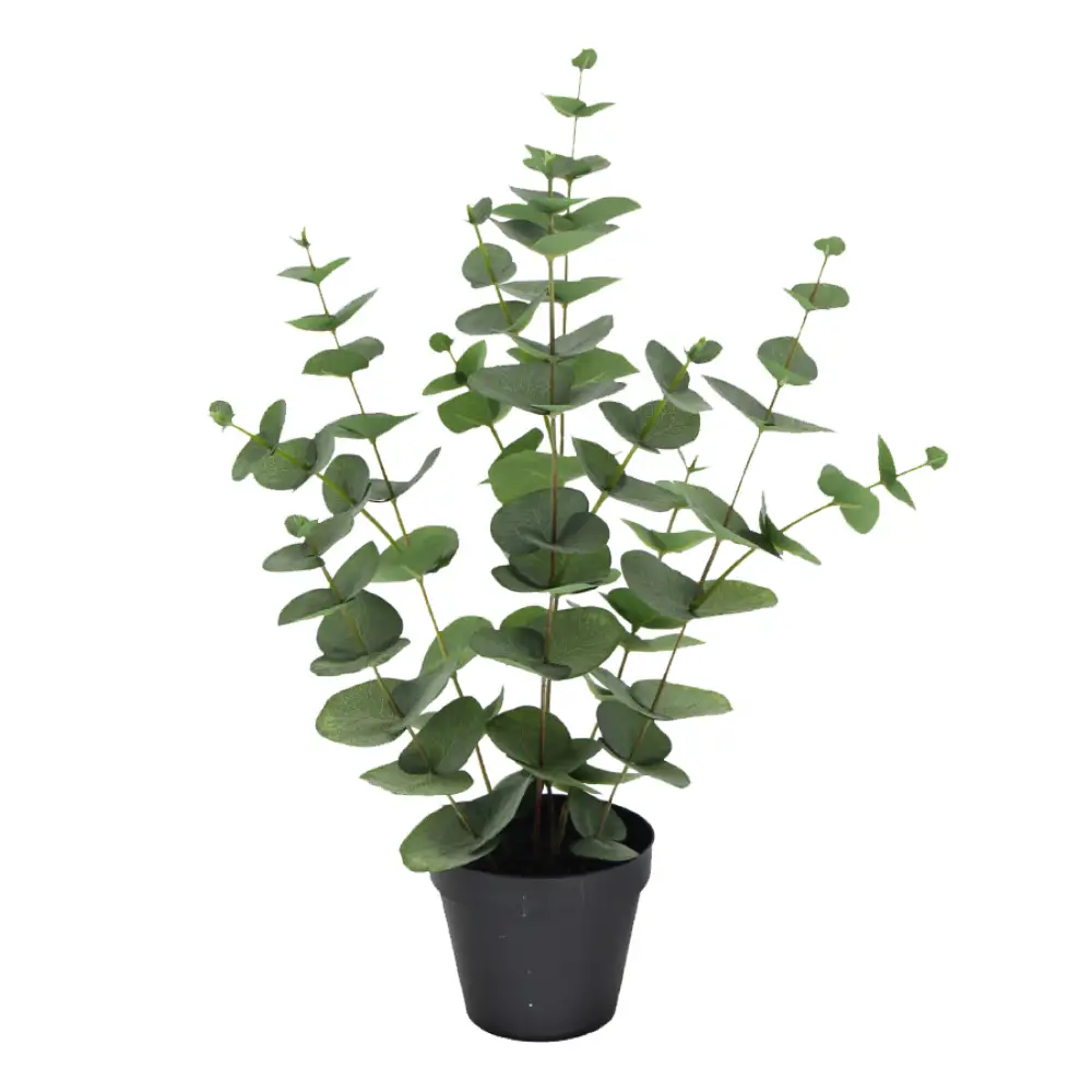 LIBERTA EUCALYPTUS ΦΥΤΟ ΤΕΧΝΗΤΟ ΣΕ ΓΛΑΣΤΡΑ 49cm POLYESTER ΠΡΑΣΙΝΟ PE/PP