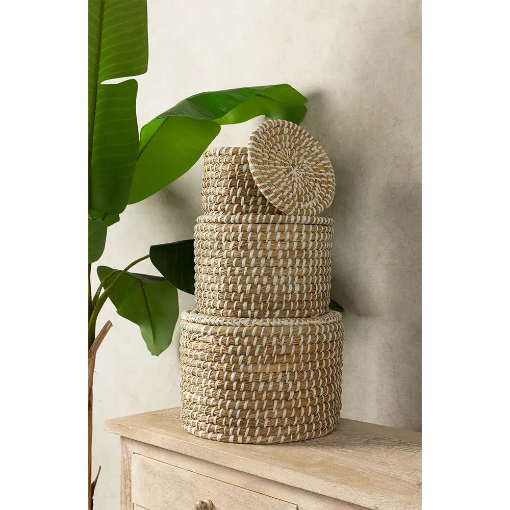 LIBERTA NILE BOX ΚΑΛΑΘΙ ΜΕ ΚΑΠΑΚΙ SET 3ΤΜΧ 35x35x25cm KANSGRASS ΦΥΣΙΚΟ ΛΕΥΚΟ PVC