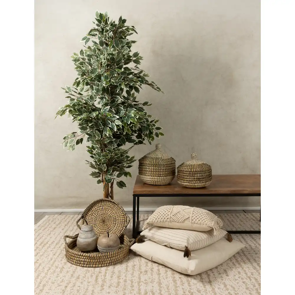 LIBERTA NILE PLEX ΚΑΛΑΘΙ ΜΕ ΚΑΠΑΚΙ SET 2ΤΜΧ 30x30x32cm KANSGRASS ΦΥΣΙΚΟ ΜΑΥΡΟ PVC