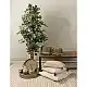 LIBERTA NILE PLEX ΚΑΛΑΘΙ ΜΕ ΚΑΠΑΚΙ SET 2ΤΜΧ 30x30x32cm KANSGRASS ΦΥΣΙΚΟ ΜΑΥΡΟ PVC