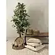 LIBERTA NILE PLEX ΚΑΛΑΘΙ ΜΕ ΚΑΠΑΚΙ SET 2ΤΜΧ 30x30x32cm KANSGRASS ΦΥΣΙΚΟ ΜΑΥΡΟ PVC