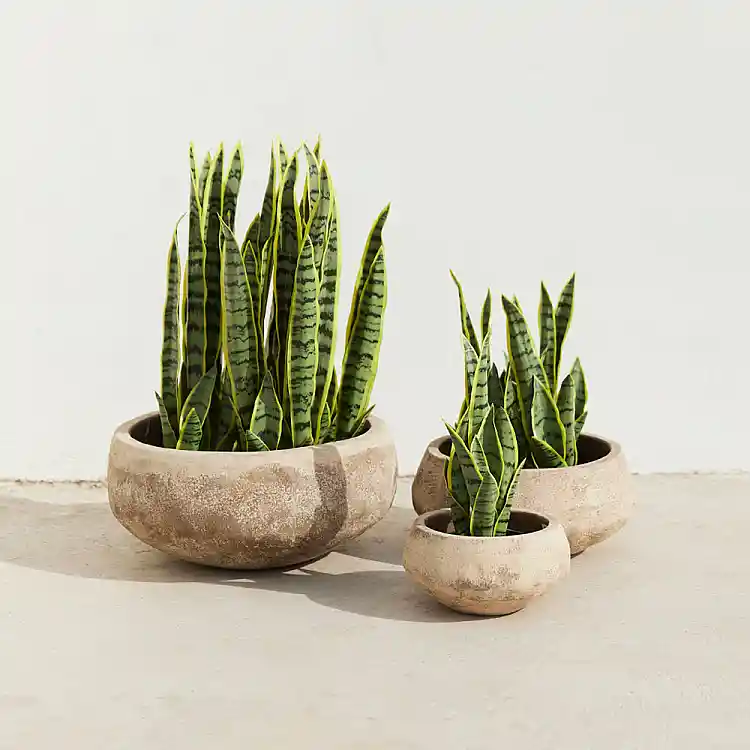 LIBERTA PORTER ΚΑΣΠΩ SET 3ΤΜΧ 40x40x19cm TERRACOTTA ΜΠΕΖ