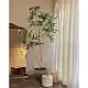 LIBERTA PEACOCK TREE ΔΕΝΤΡΟ ΤΕΧΝΗΤΟ ΣΕ ΓΛΑΣΤΡΑ 150cm PE ΠΡΑΣΙΝΟ ΜΕΤΑΞΩΤΟ ΥΦΑΣΜΑ