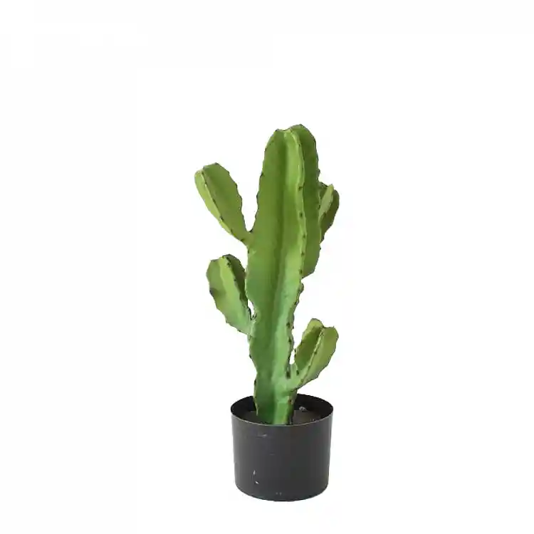 LIBERTA CANDELABRA CACTUS ΦΥΤΟ ΤΕΧΝΗΤΟ ΣΕ ΓΛΑΣΤΡΑ 55cm PU ΠΡΑΣΙΝΟ