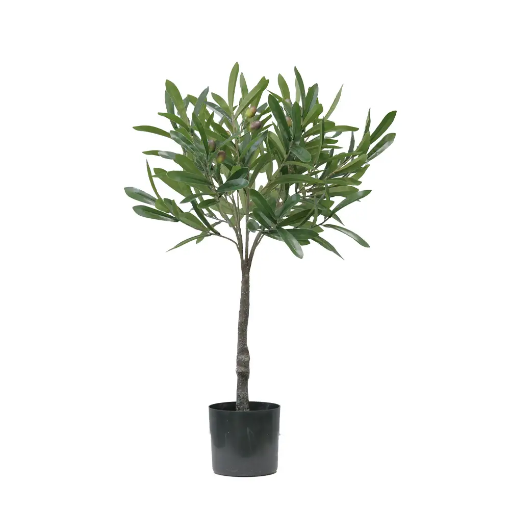 LIBERTA OLIA ΦΥΤΟ ΤΕΧΝΗΤΟ ΣΕ ΓΛΑΣΤΡΑ 75cm PVC ΠΡΑΣΙΝΟ PU