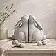 LIBERTA BUN BUN ΔΙΑΚΟΣΜΗΤΙΚΟ ΒΙΒΛΙΟΣΤΑΤΗΣ SET 2ΤΜΧ 22x9x18cm POLYRESIN ΜΠΕΖ