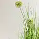 LIBERTA GRASS FLOWER ΦΥΤΟ ΤΕΧΝΗΤΟ ΣΕ ΓΛΑΣΤΡΑ 58cm PVC ΠΡΑΣΙΝΟ