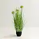LIBERTA GRASS FLOWER ΦΥΤΟ ΤΕΧΝΗΤΟ ΣΕ ΓΛΑΣΤΡΑ 58cm PVC ΠΡΑΣΙΝΟ
