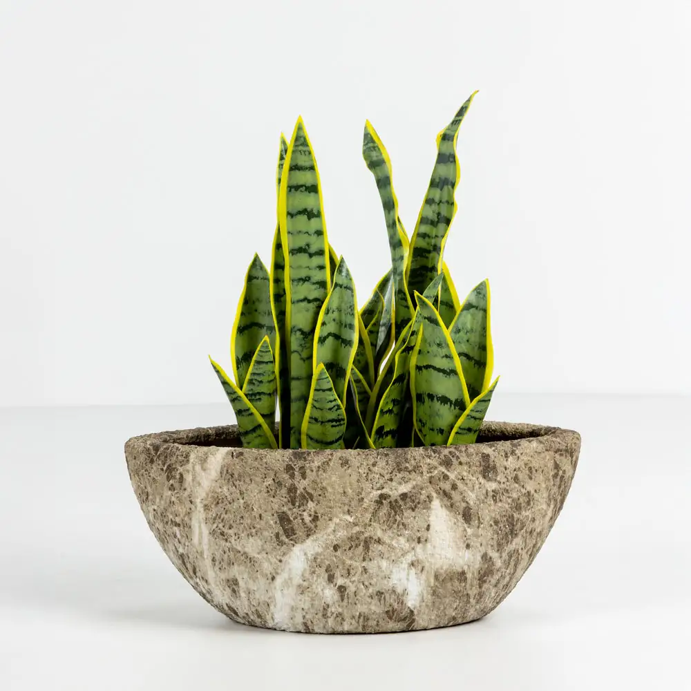 LIBERTA NANGA ΚΑΣΠΩ ΣΕΤ 2ΤΜΧ 46x22x20cm ΚΕΡΑΜΙΚΟ ΜΠΕΖ ΚΑΦΕ