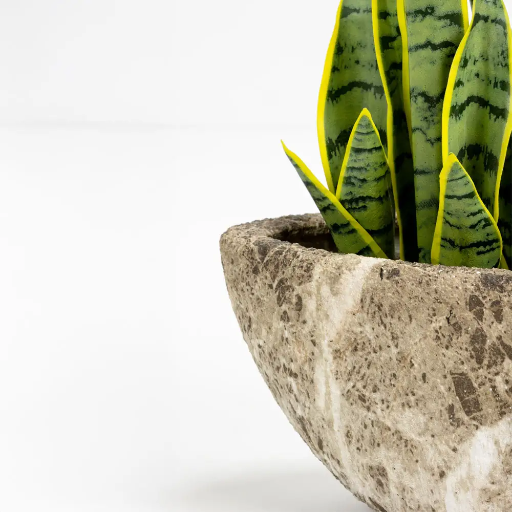 LIBERTA NANGA ΚΑΣΠΩ ΣΕΤ 2ΤΜΧ 46x22x20cm ΚΕΡΑΜΙΚΟ ΜΠΕΖ ΚΑΦΕ