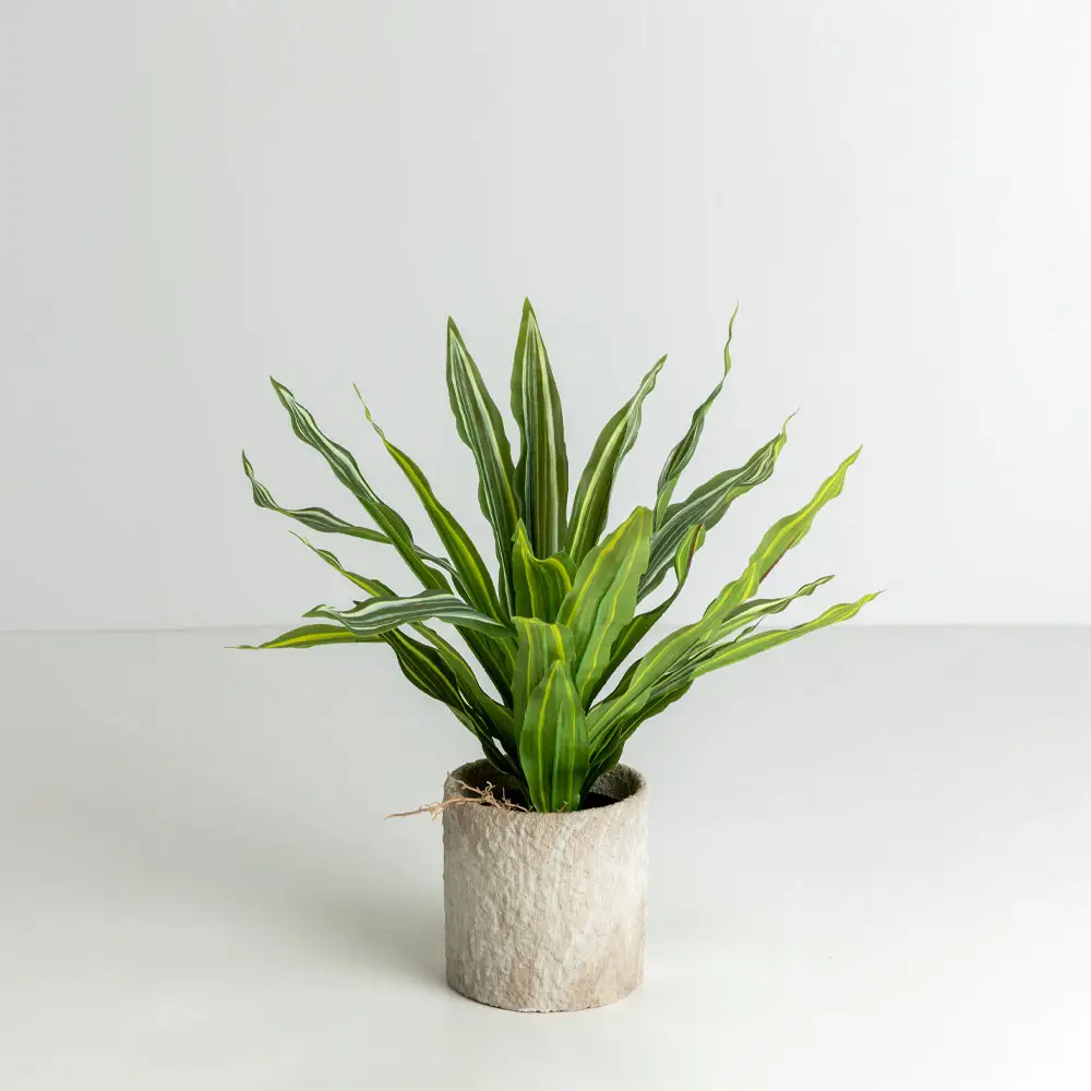 LIBERTA PUMOR ΚΑΣΠΩ ΣΕΤ 3ΤΜΧ 18x18x18cm ΚΕΡΑΜΙΚΟ ΜΠΕΖ ΛΕΥΚΟ