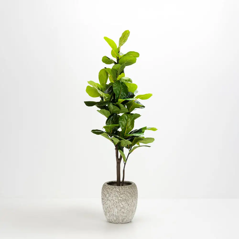 LIBERTA KANCHE ΓΛΑΣΤΡΑ ΣΕΤ 2ΤΜΧ 48x48x39cm ΚΕΡΑΜΙΚΟ ΜΠΕΖ ΜΑΥΡΟ