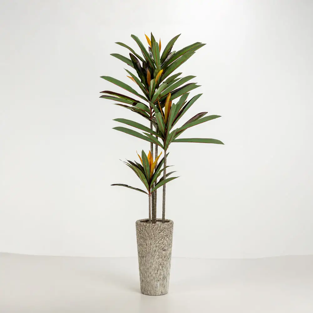 LIBERTA KANCHE ΓΛΑΣΤΡΑ ΣΕΤ 2ΤΜΧ 32x32x53cm ΚΕΡΑΜΙΚΟ ΜΠΕΖ ΜΑΥΡΟ