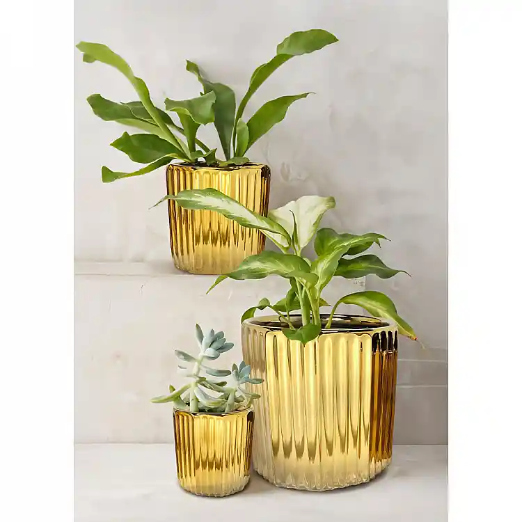 LIBERTA ORO ΚΑΣΠΩ ΣΕΤ 3ΤΜΧ 18x18x18cm ΚΕΡΑΜΙΚΟ ΧΡΥΣΟ