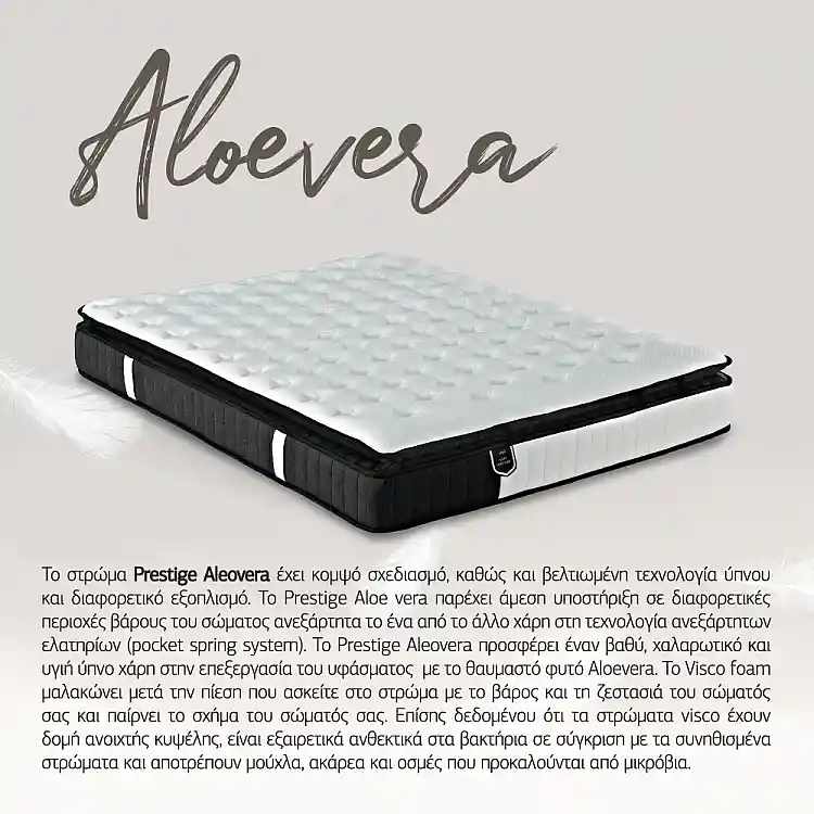 LIBERTA VISCO ALOE VERA ROLL PACK ΣΤΡΩΜΑ 160x200cm ΛΕΥΚΟ ΑΝΘΡΑΚΙ 200x160x31cm