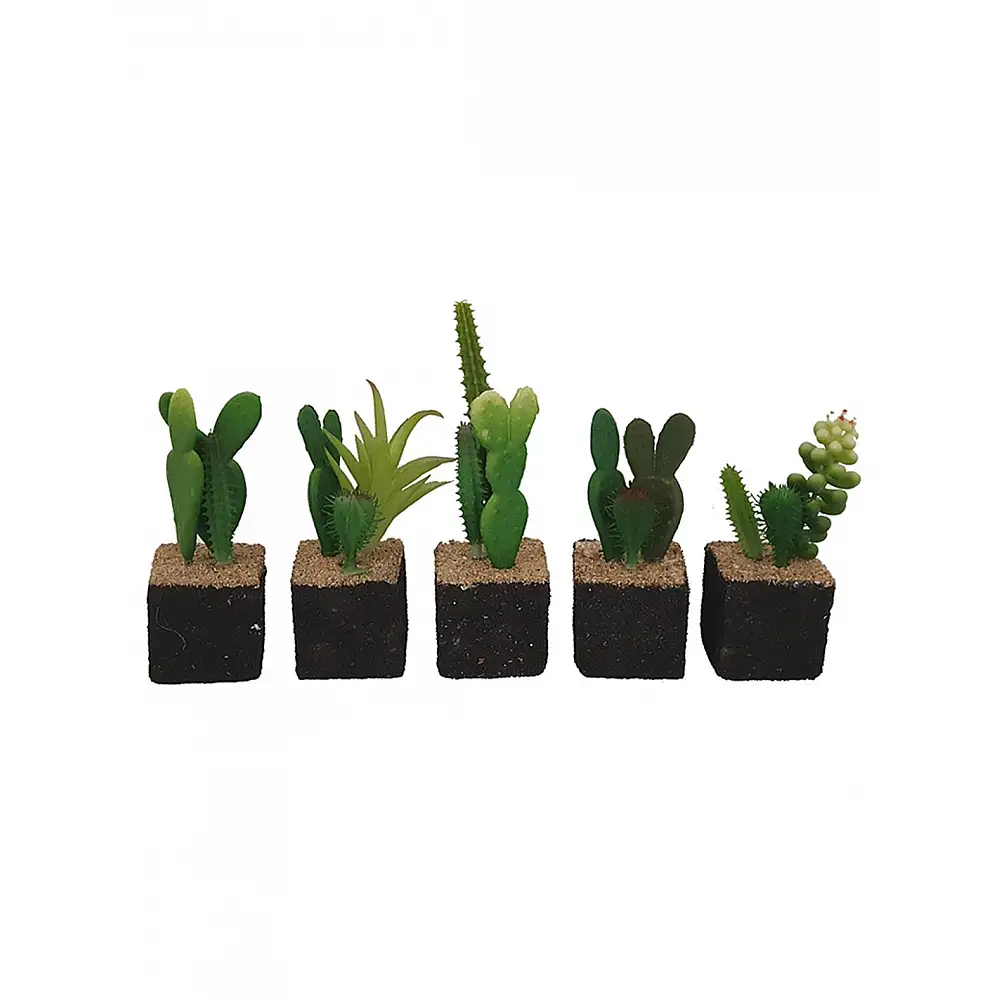 Κάκτοι mini σε μαύρο βάση  10-13εκ.  6σχέδιο/α