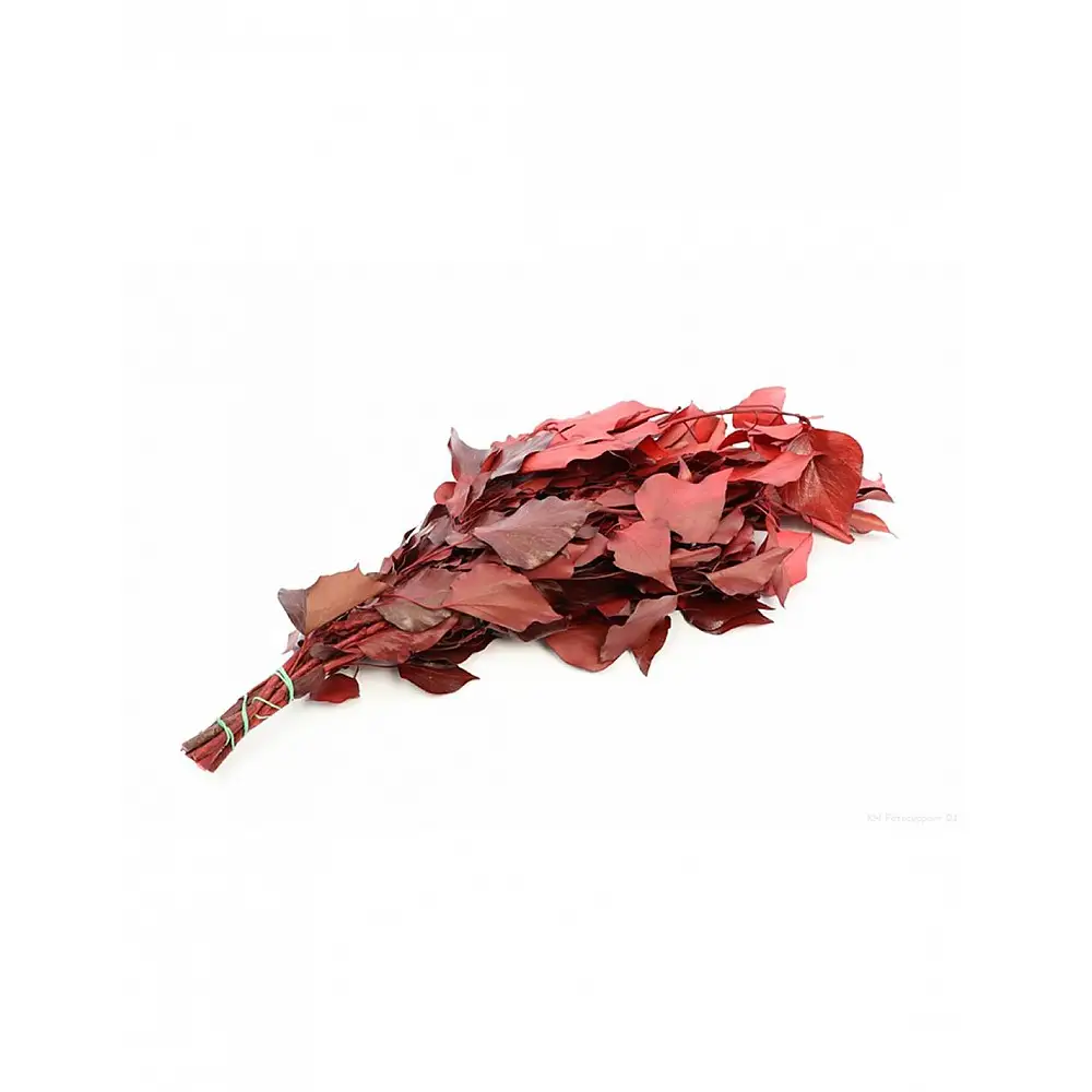 Φυλλωματα presserved 150gr