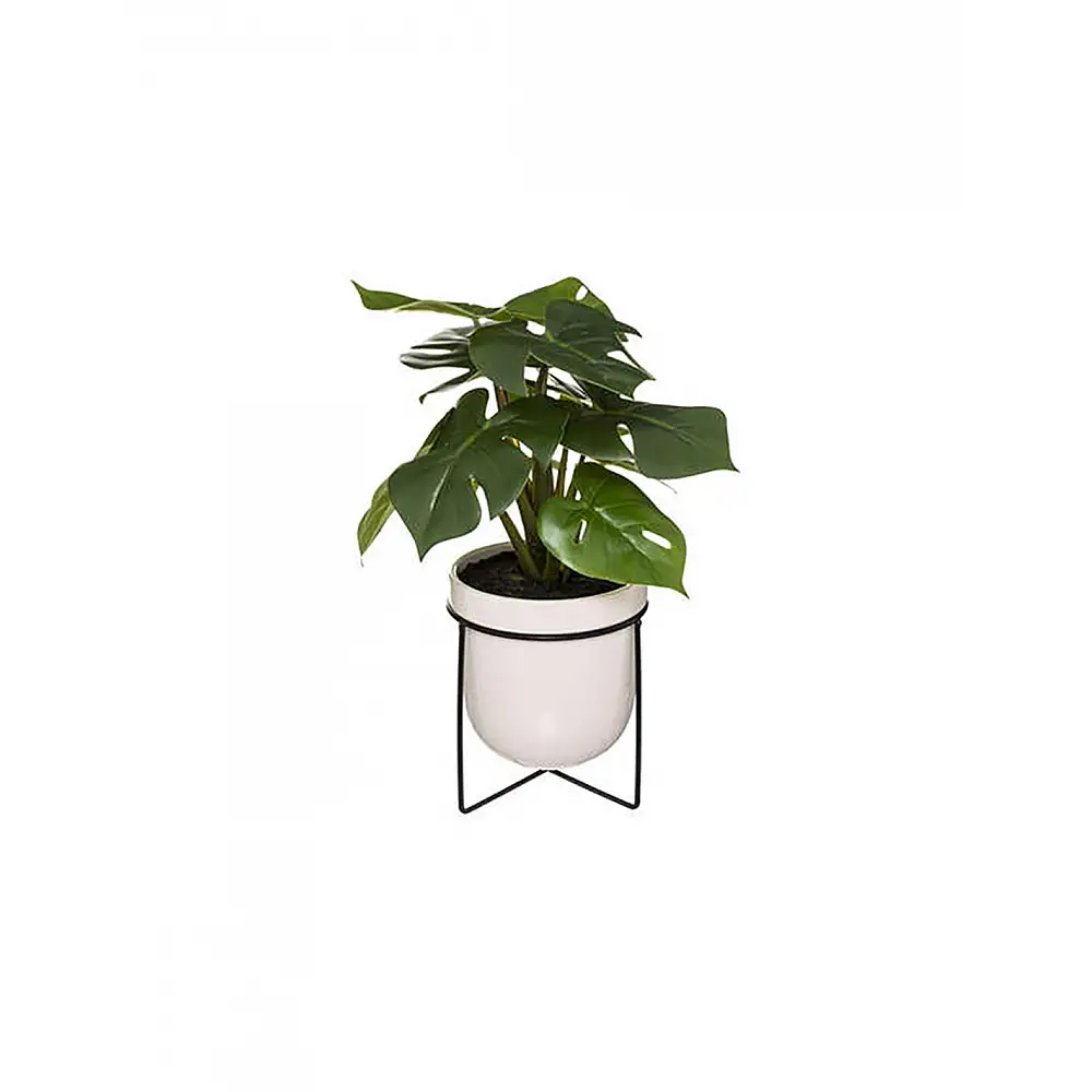 Κασπώ κεραμικό με πρασινάδα 23x33