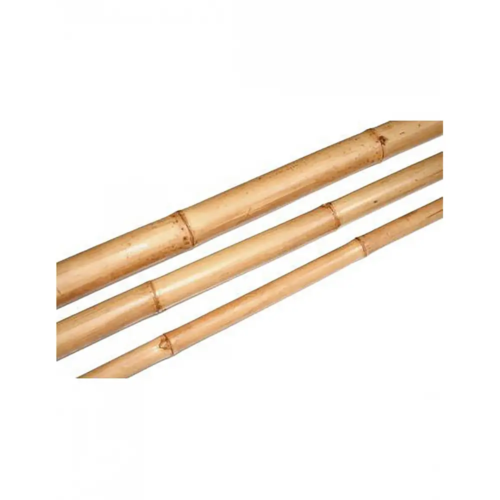 Καλάμι bamboo φυσικό Φ6XΗ210cm