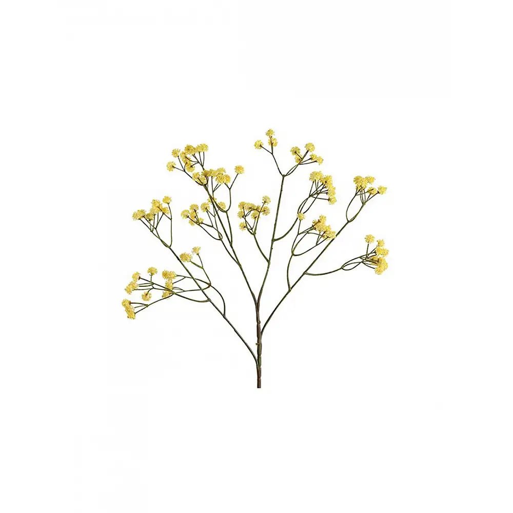Gypsophilia κίτρινη 61εκ.