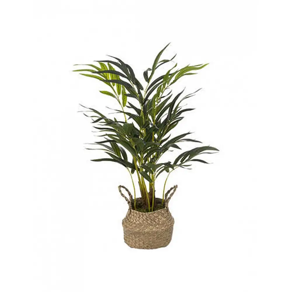 Πρασινάδα  σε καλάθι 50x80