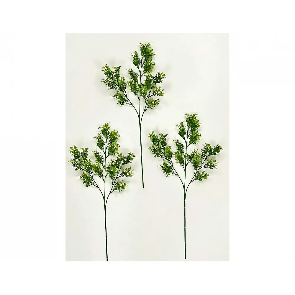 Κλαδί πρασινάδα