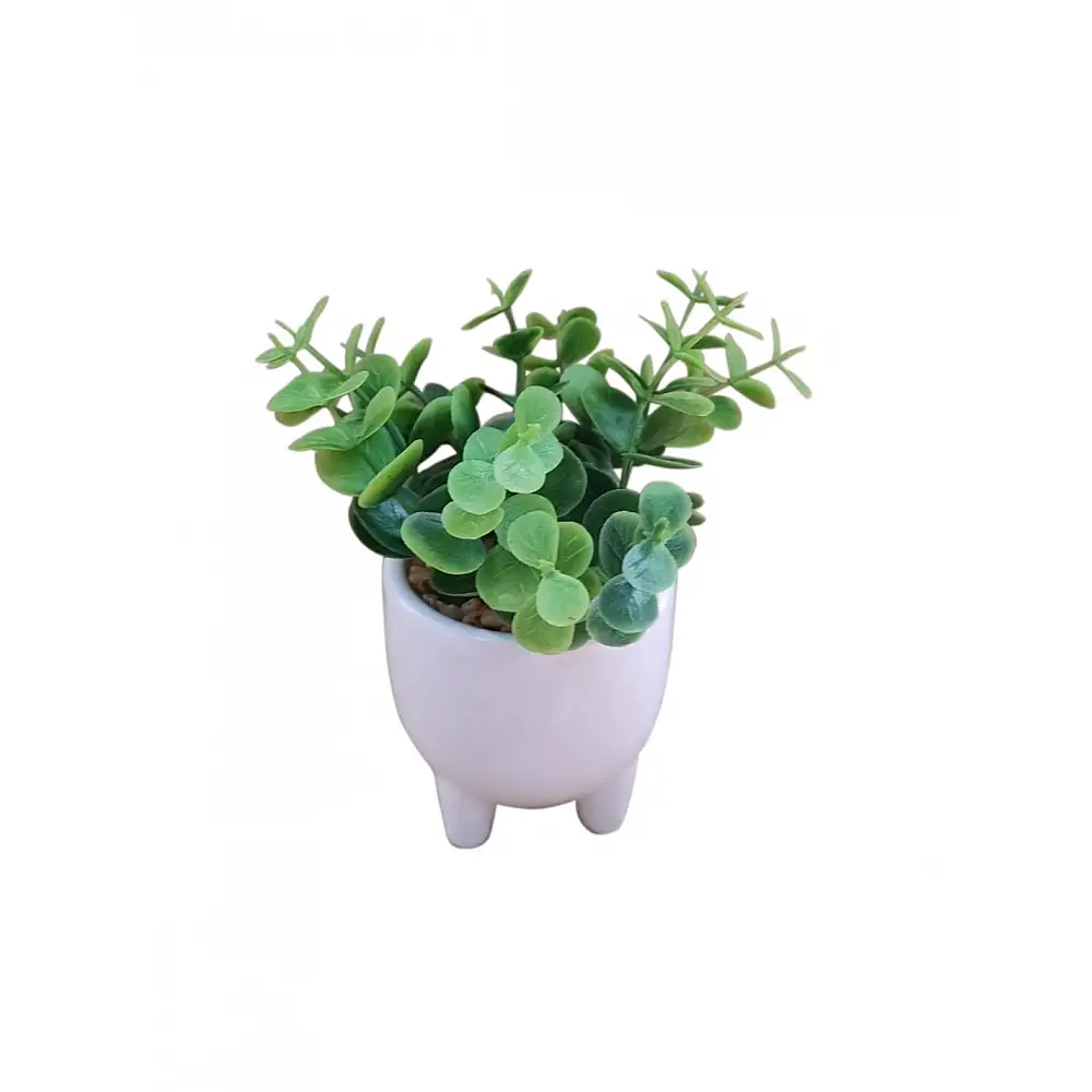 Πρασινάδα σε πορσελάνη λευκό κασπώ 14εκ.