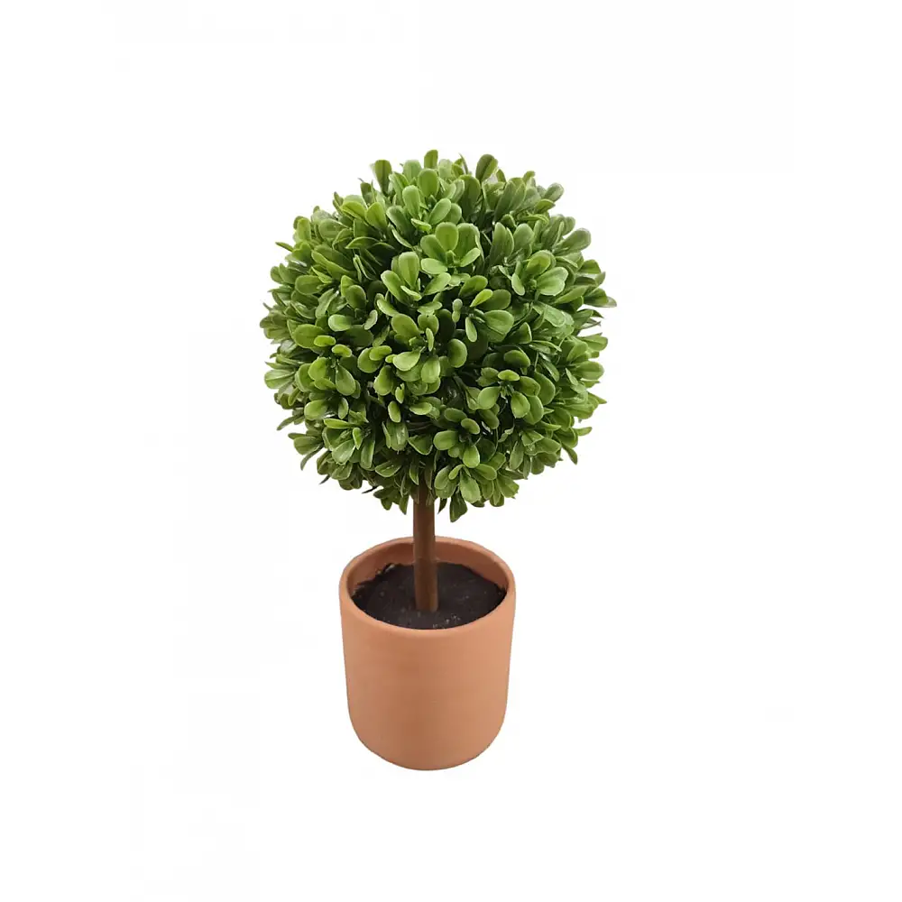 Πρασινάδα μπάλα σε κερμ. κασπώ 25εκ