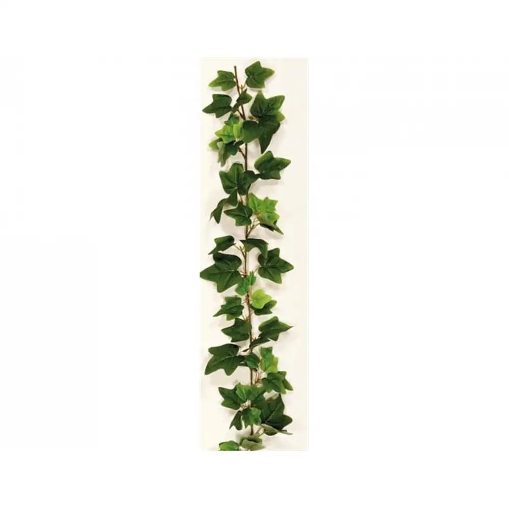 ΓIPΛANTA KIΣΣOΣ ΠPAΣINOΣ 220EK.