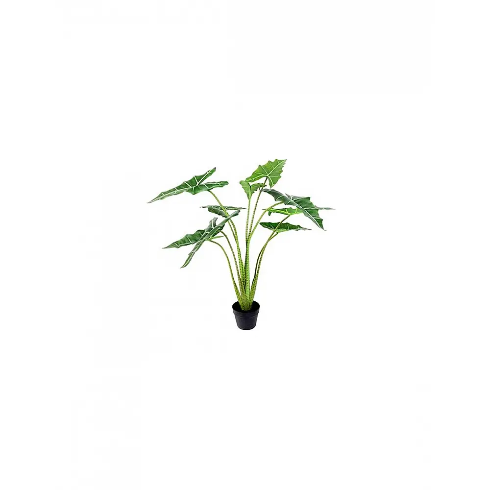 Φύκος σε κασπώ Η120cm