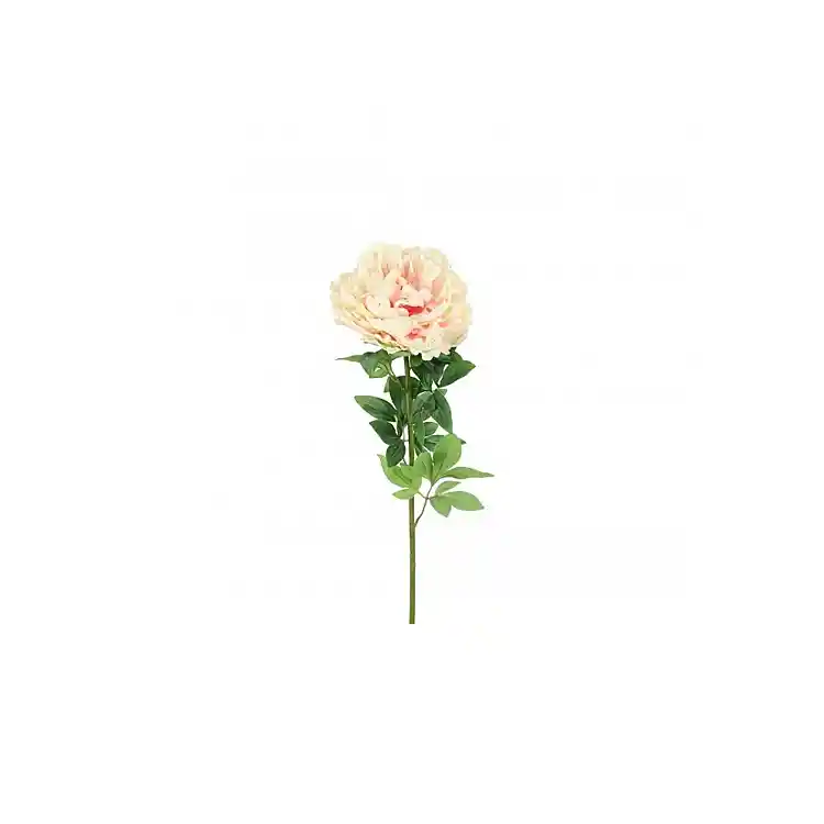 Κλαδί παιώνια ροζ Η73cm