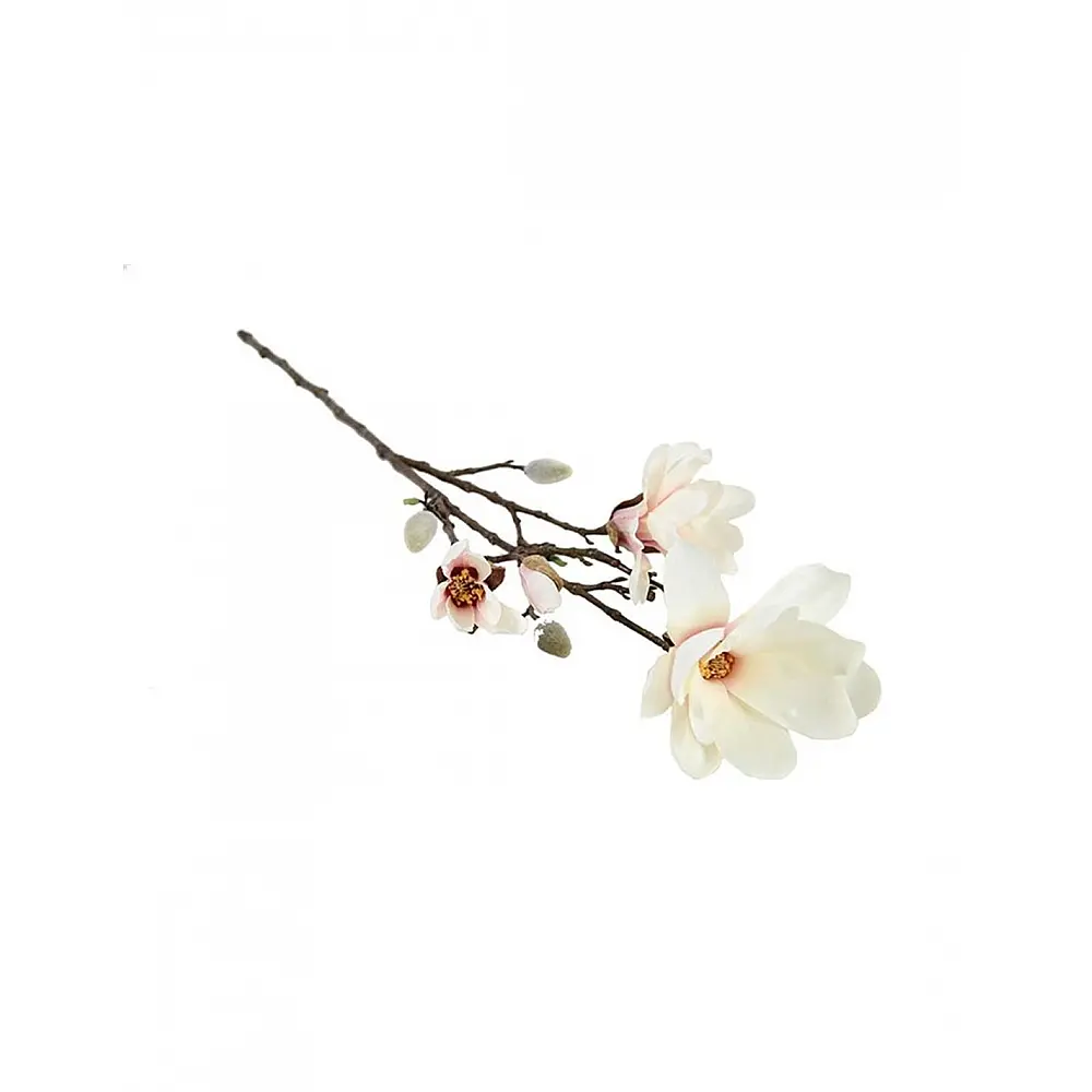 Κλαδί Μανόλια λευκή Η87 cm