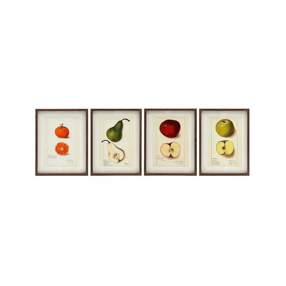 Κάδρο  FRUIT  4σχέδια 30x40cm