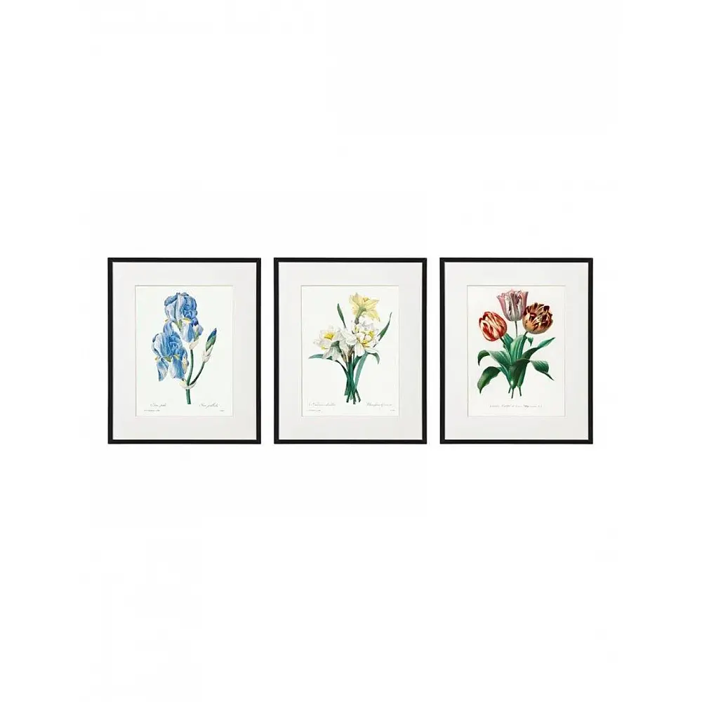 Κάδρο  FLOWER  3σχέδια 20x25cm