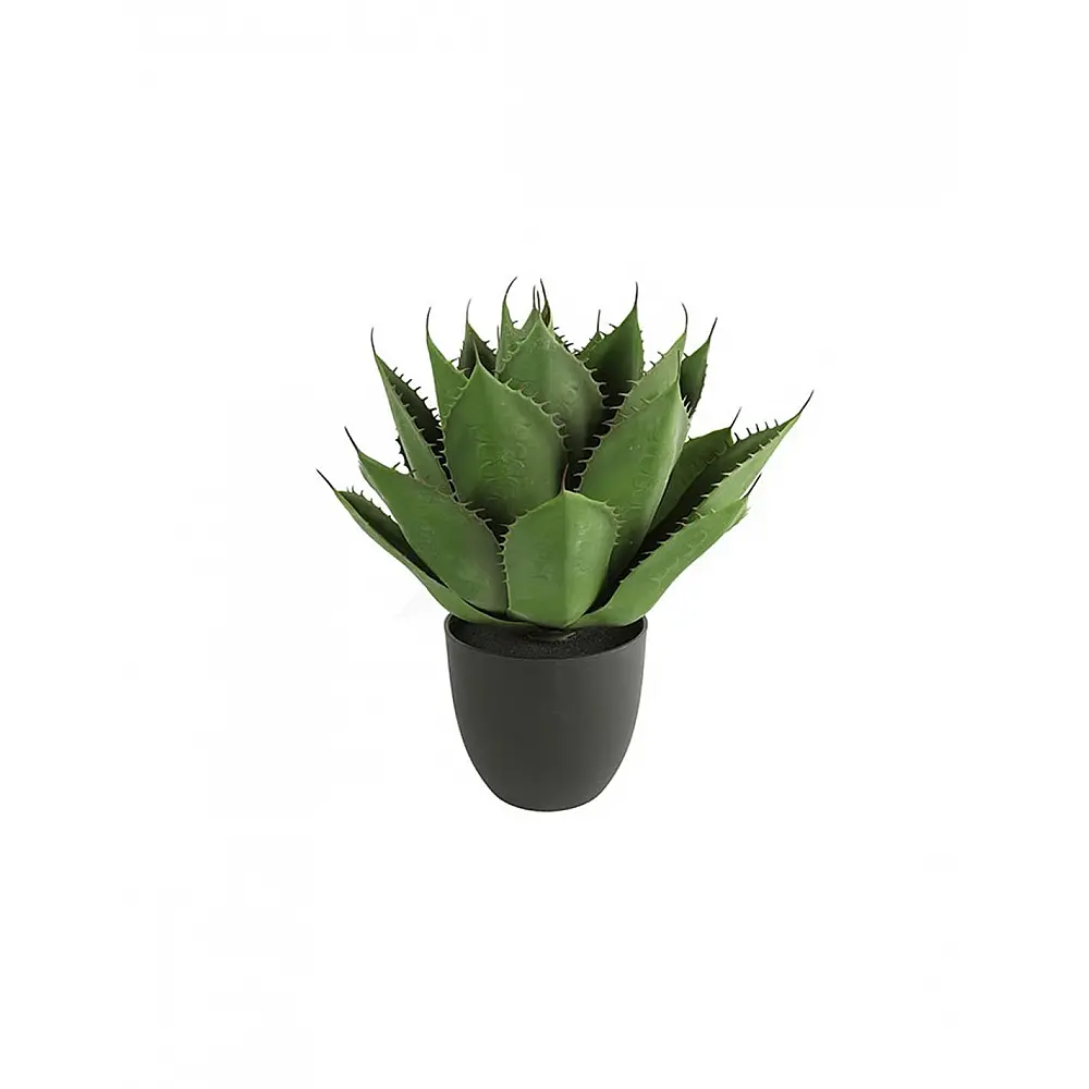 Αλόη σε κασπώ Φ45Η57cm Αλόη σε κασπώ Φ45Η57cm