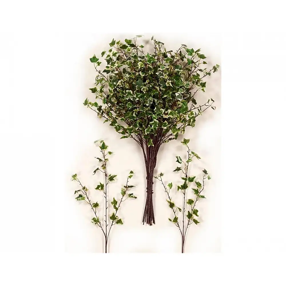 Κλαδί κισσός δίχρωμος 80cm